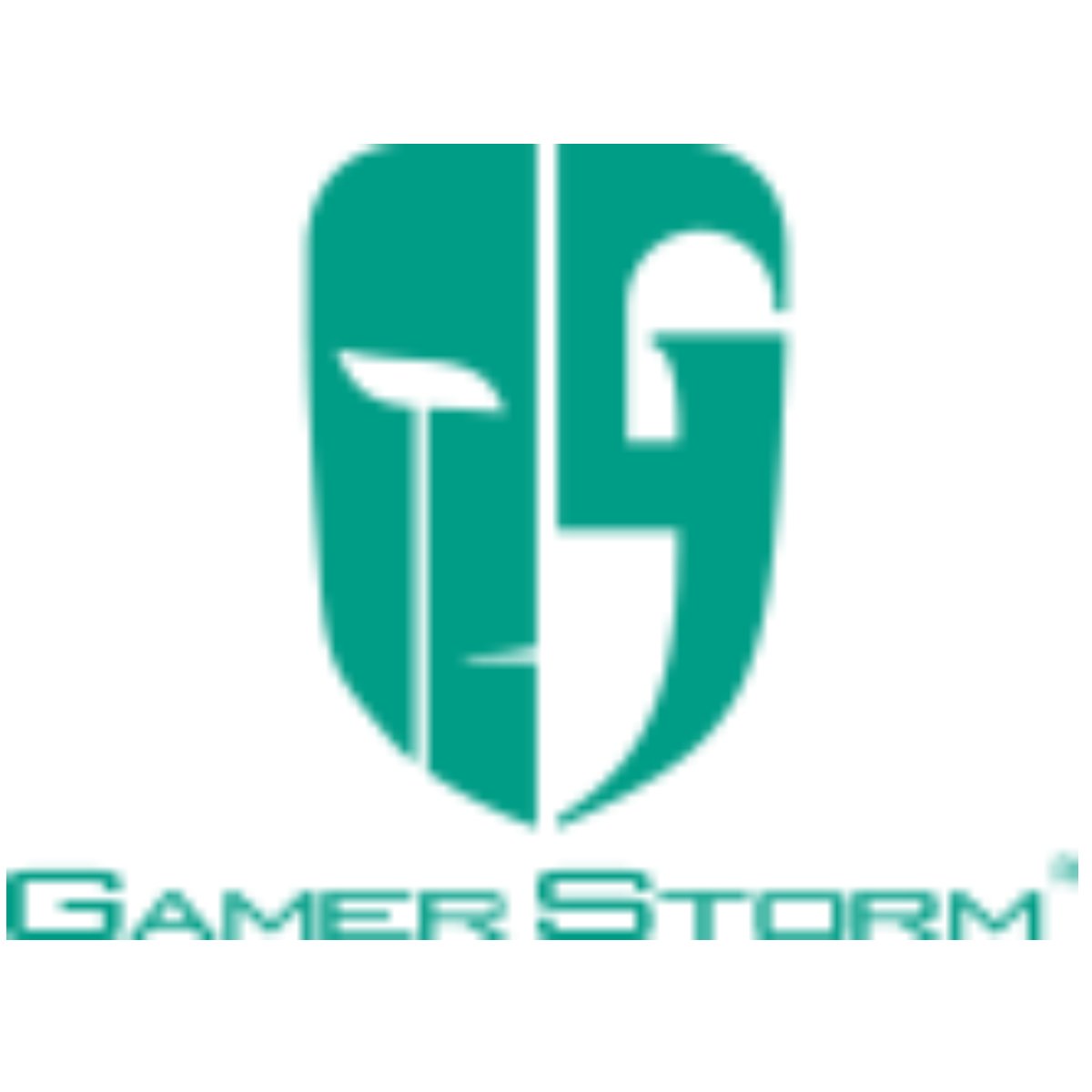Producător GamerStorm