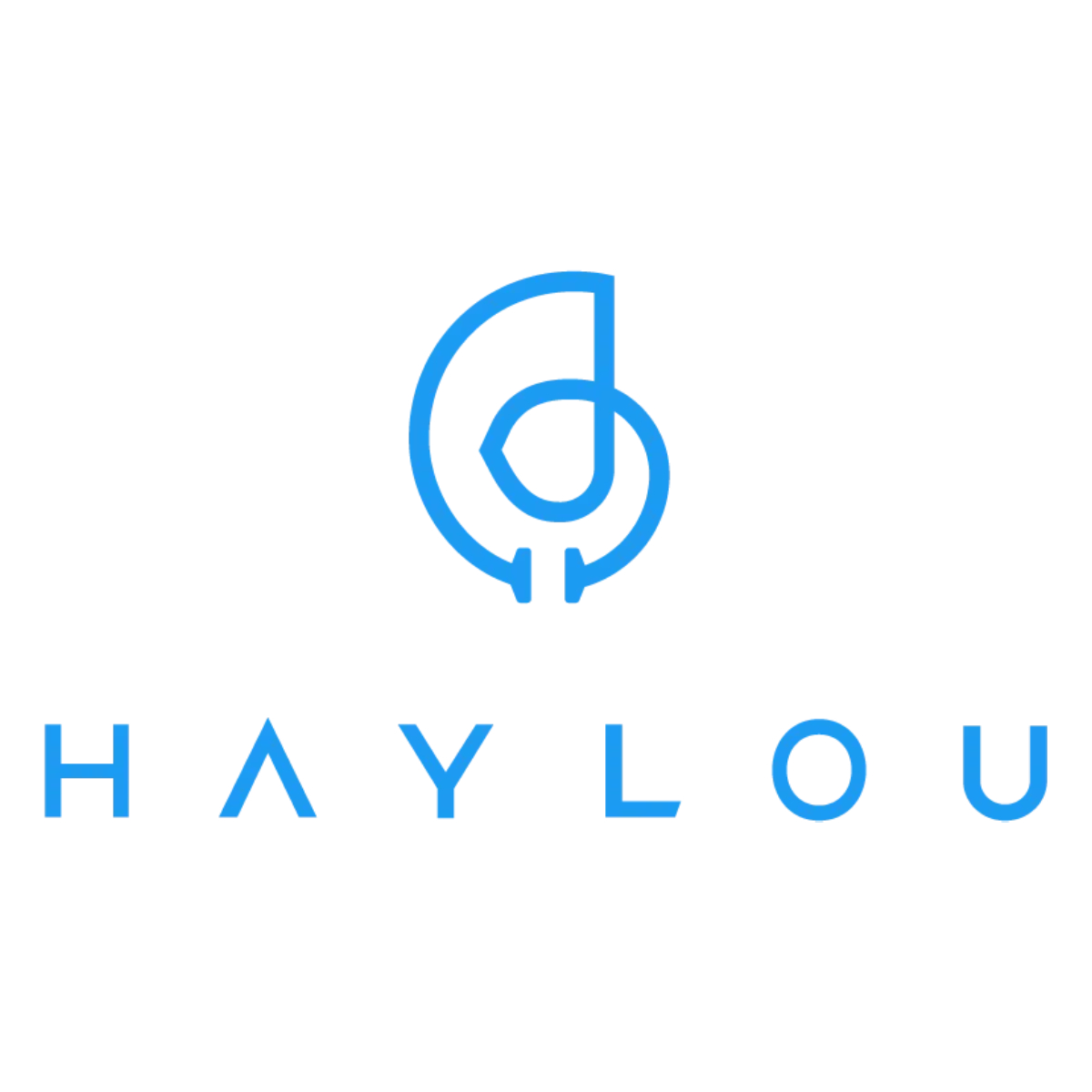 Haylou brand