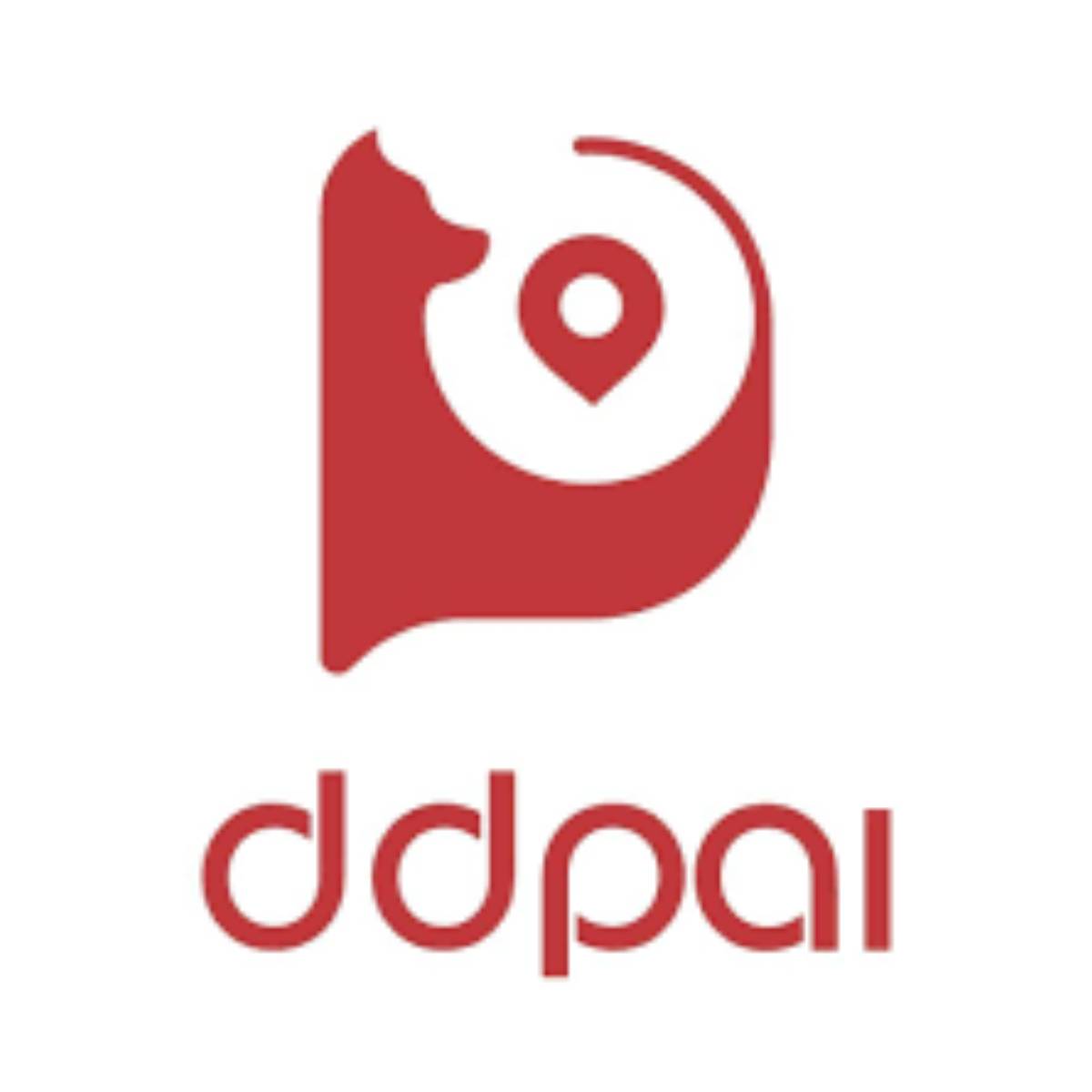 DDPAI brand