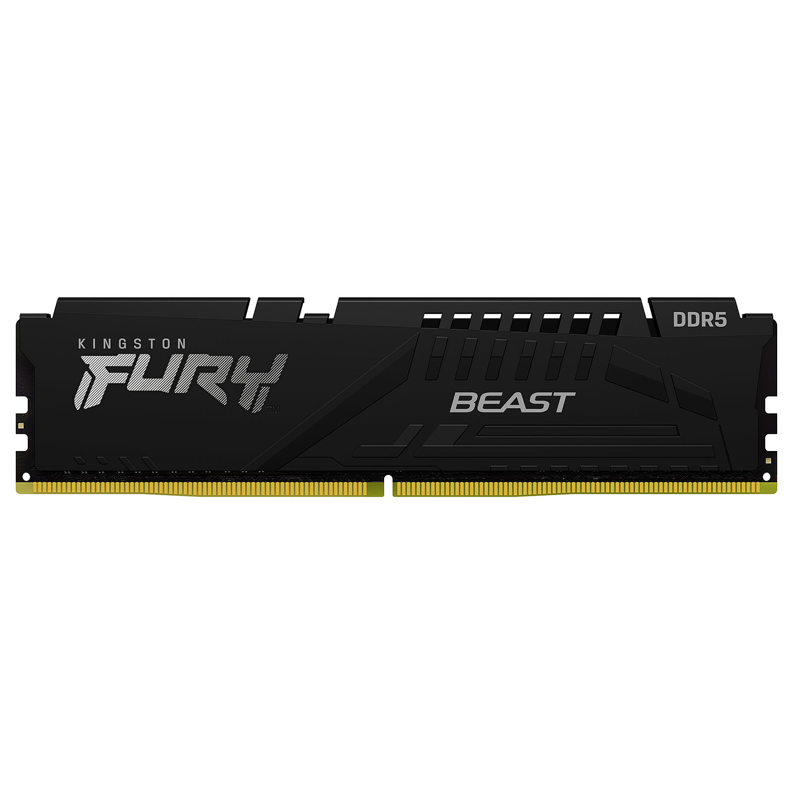 Оперативная память Kingston FURY Beast KF556C40BB-8 - xstore.md photo 0