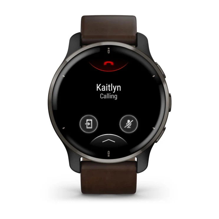 Смарт часы Garmin Venu 2 Plus | Xstore.md photo 0