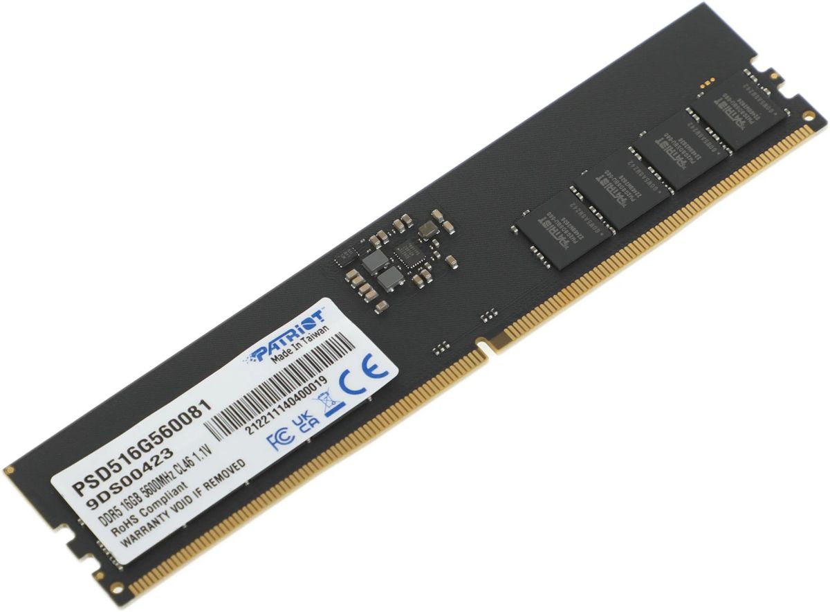 Memorie RAM Patriot Signature Line PSD516G560081 - xstore.md photo 2