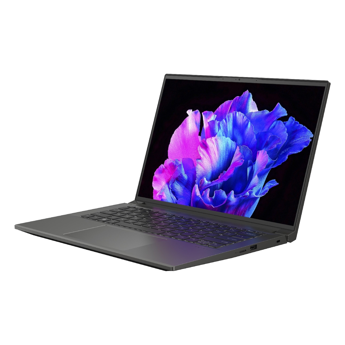 Laptop Acer Swift X 14 SFX14-71G-71UT | Xstore.md photo 2