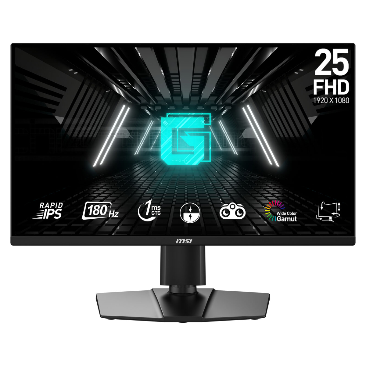 Монитор MSI G255PF E2 - xstore.md photo