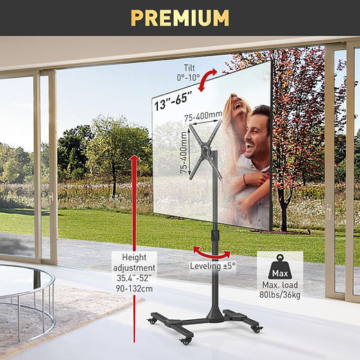 Кронштейн для телевизора Barkan SW310H в Молдове - xstore.md photo 3