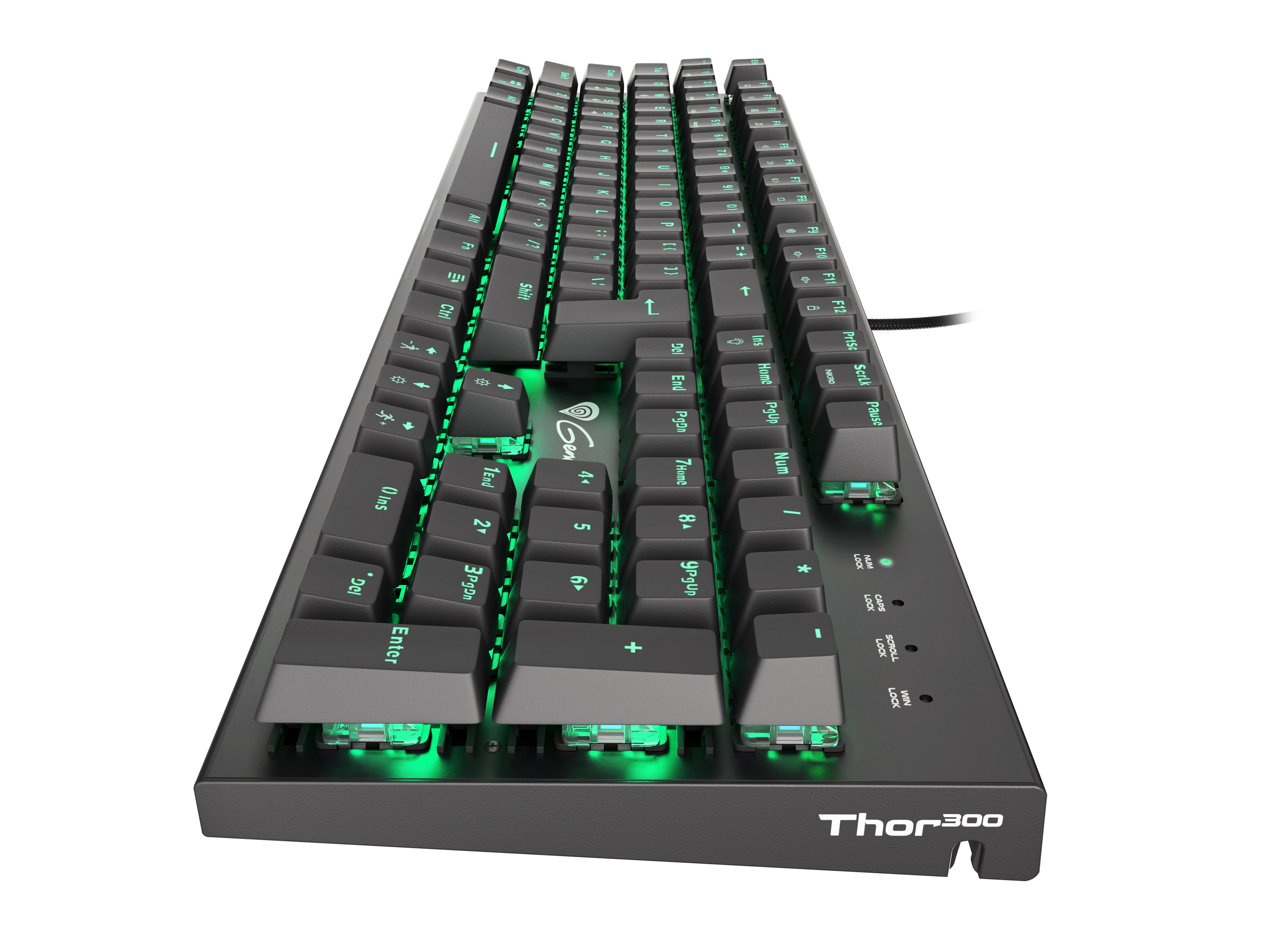 Tastatură Genesis Thor 300, Black în Moldova - xstore.md photo 2