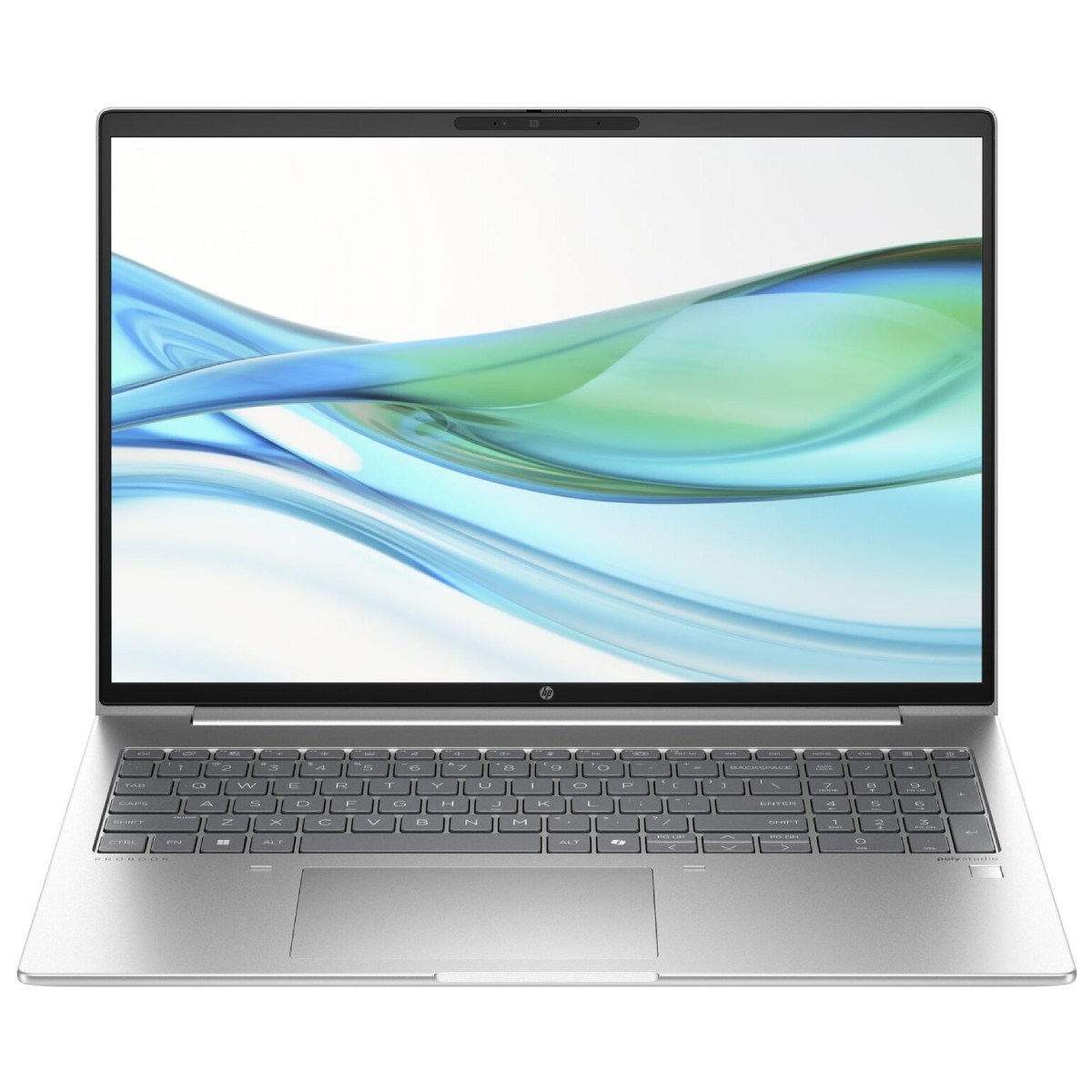 Ноутбук HP ProBook 460 G11 (A23BCEA) - xstore.md photo