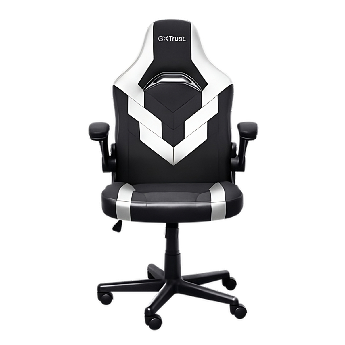 Scaun Gaming Trust Gaming Chair GXT 703 RIYE, Black-White - xstore.md photo