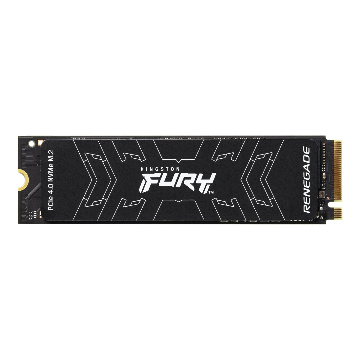 SSD Kingston FURY Renegade SFYRS/500G в Молдове | Xstore.md photo