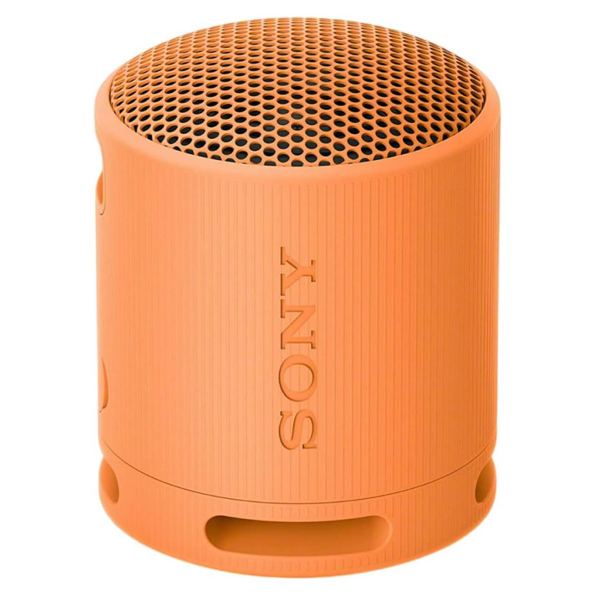 Портативная колонка SONY SRS-XB100, Orange в Молдове - xstore.md photo 0