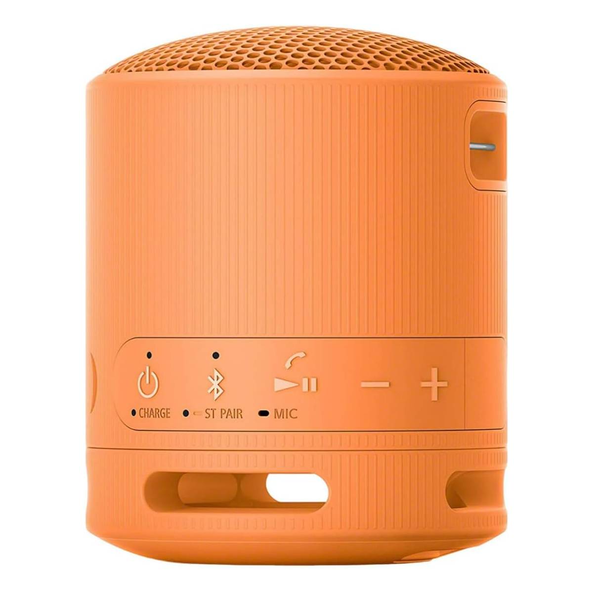 Портативная колонка SONY SRS-XB100, Orange в Молдове - xstore.md photo 1