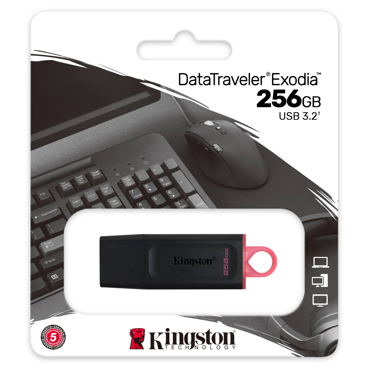 USB Flash Kingston DataTraveler Exodia 256GB, Black în Moldova - xstore.md photo 1