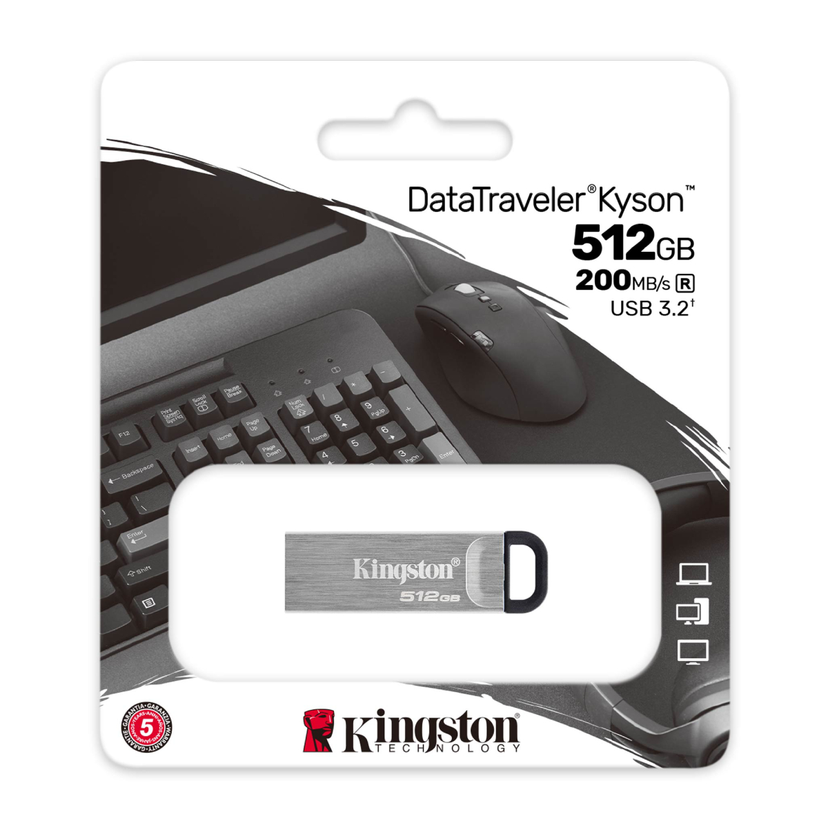 USB Flash Kingston DataTraveler Kyson 512GB, Silver în Moldova - xstore.md photo 1