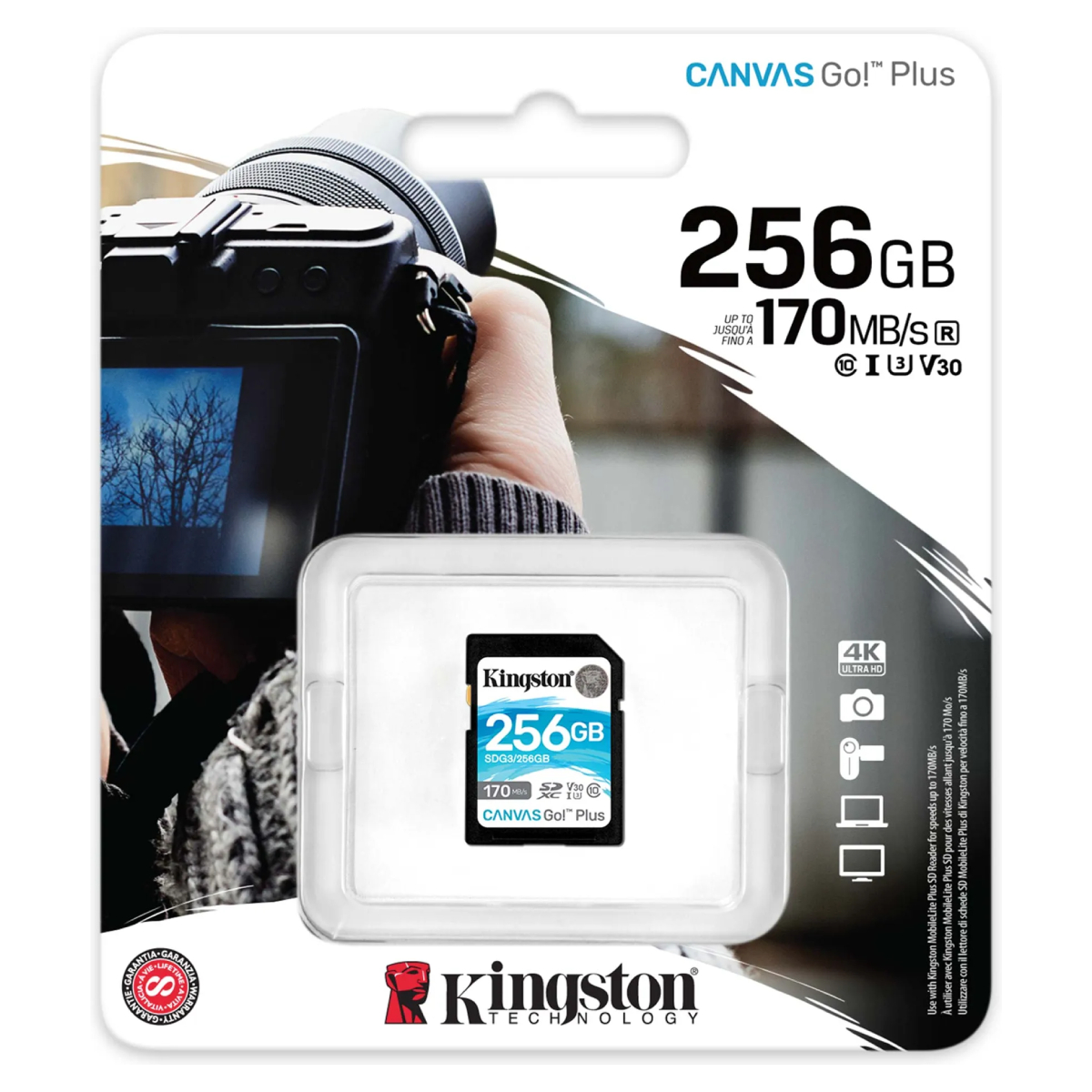 Карта SD Kingston Canvas Go! Plus 256GB в Молдове - xstore.md photo 1