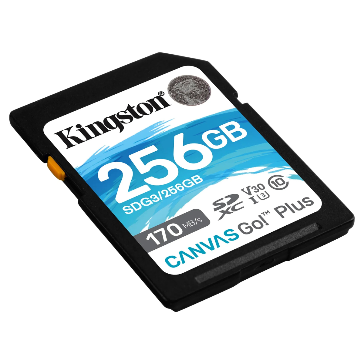 Карта SD Kingston Canvas Go! Plus 256GB в Молдове - xstore.md photo 0