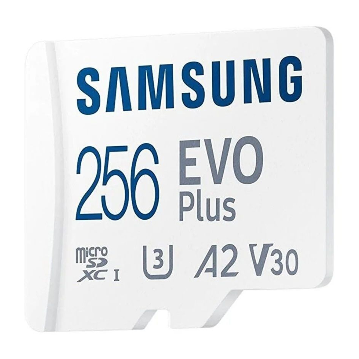 Card SD Samsung EVO Plus 256GB în Moldova - xstore.md photo 0