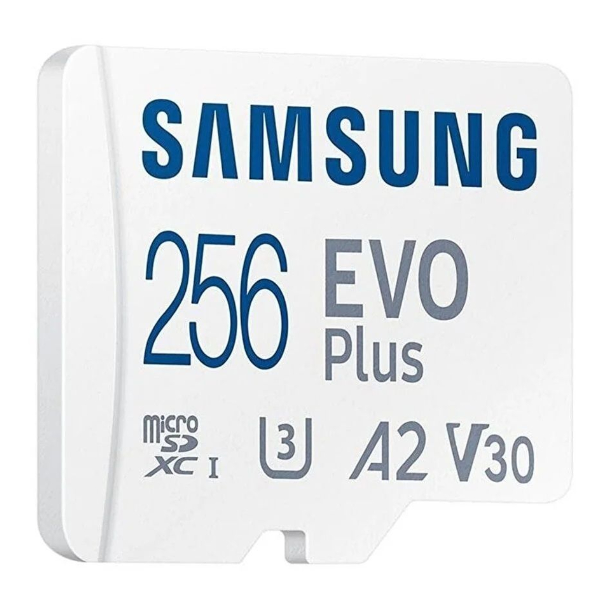 Card SD Samsung EVO Plus 256GB în Moldova - xstore.md photo 1