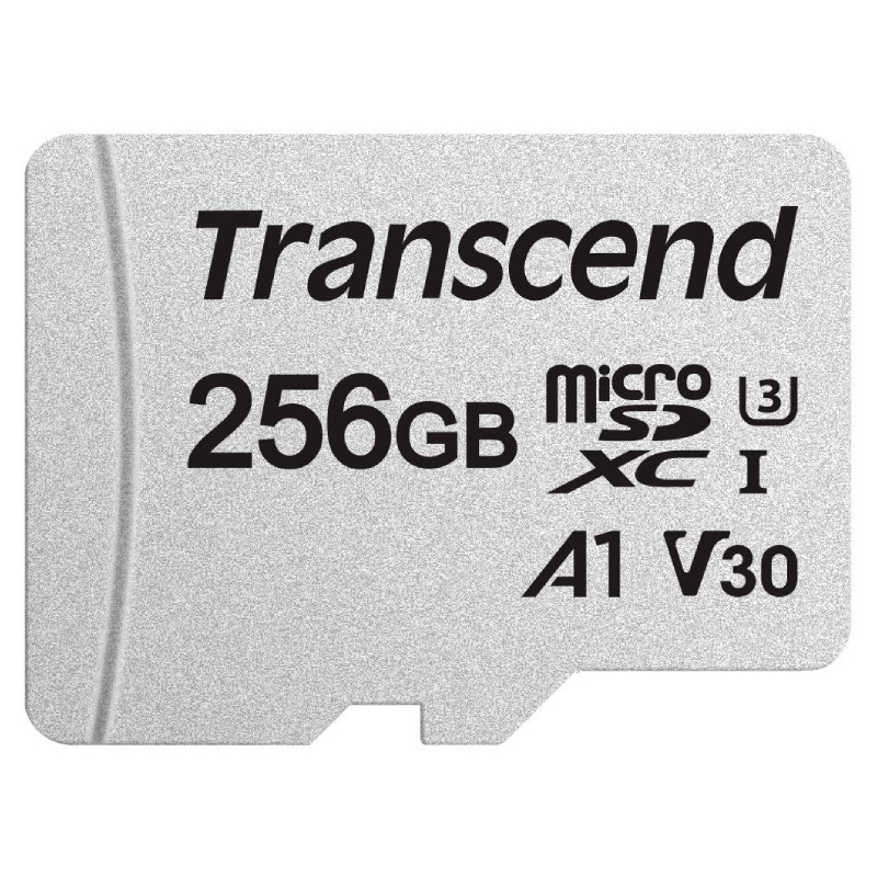 Card SD Transcend USD300S 256GB în Moldova - xstore.md photo 0