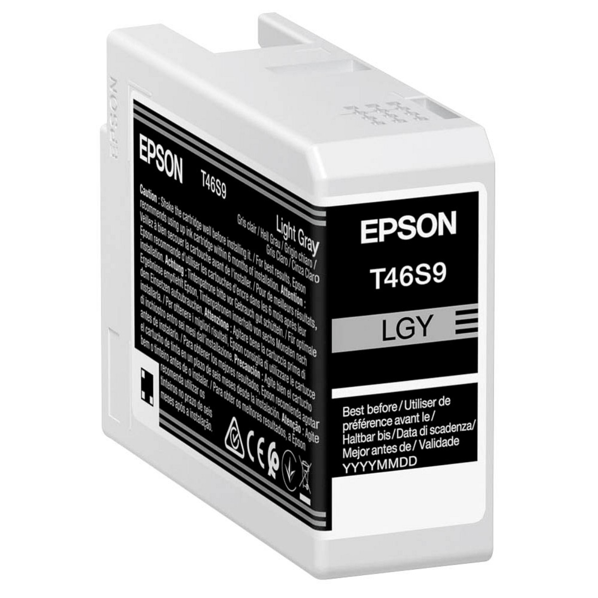 Ink Cartridge Epson UltraChrome PRO 10 LGy (C13T46S900) - xstore.md photo