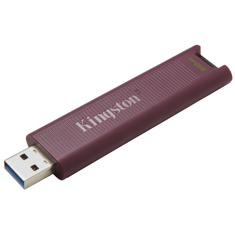 USB Flash Kingston DataTraveler Max 512GB, Violet în Moldova - xstore.md photo 0