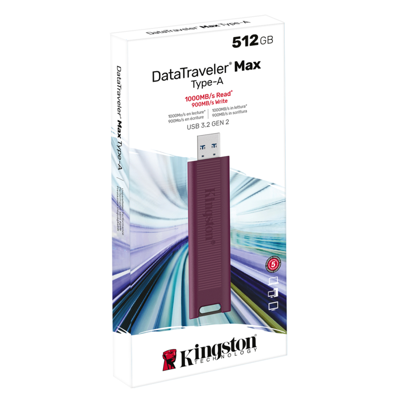 USB Flash Kingston DataTraveler Max 512GB, Violet în Moldova - xstore.md photo 1