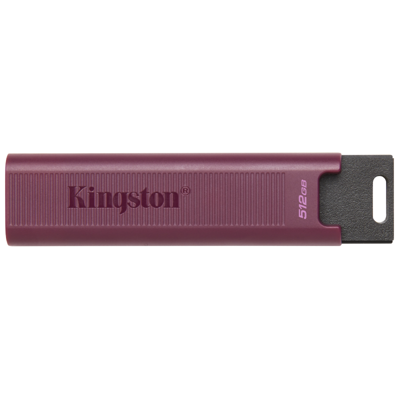 USB Flash Kingston DataTraveler Max 512GB, Violet în Moldova - xstore.md photo
