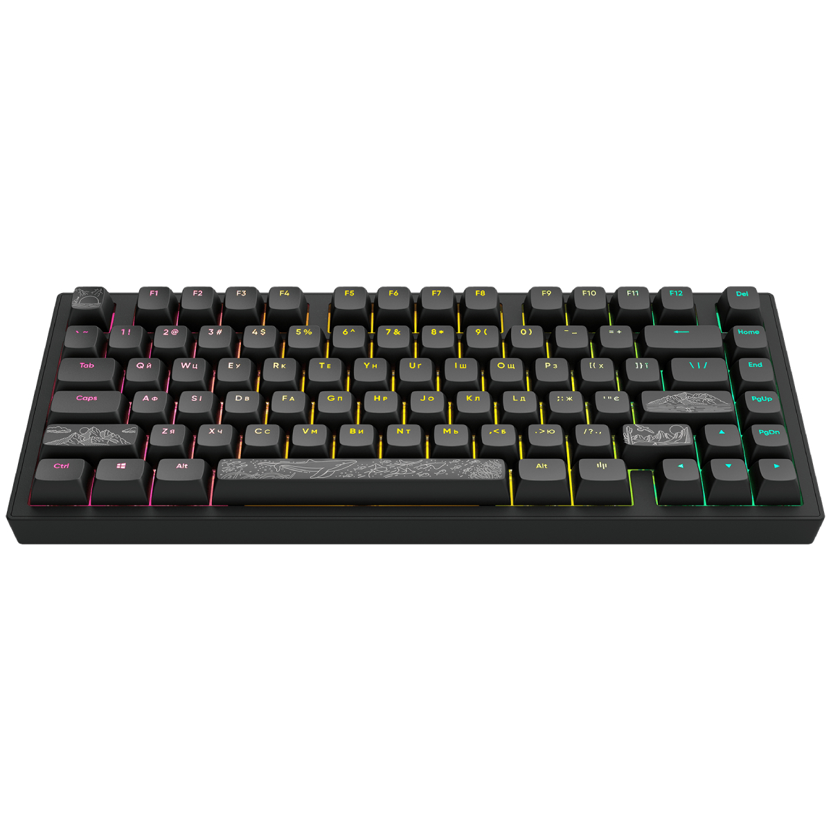 Клавиатура Dark Project 81 Terra Nostra в Молдове | Xstore.md photo 0
