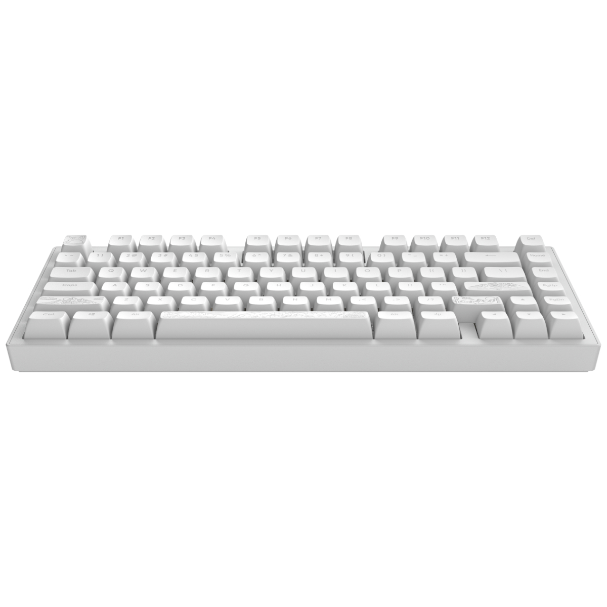 Клавиатура Dark Project 81 Terra Nostra в Молдове | Xstore.md photo 1