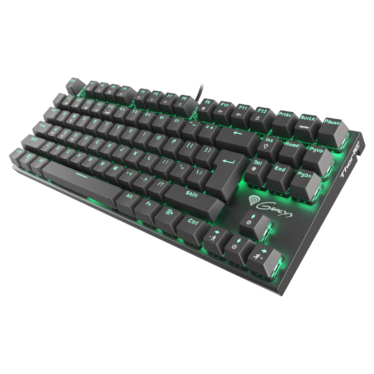 Tastatură Genesis Thor 300 TKL, Black în Moldova - xstore.md photo 0