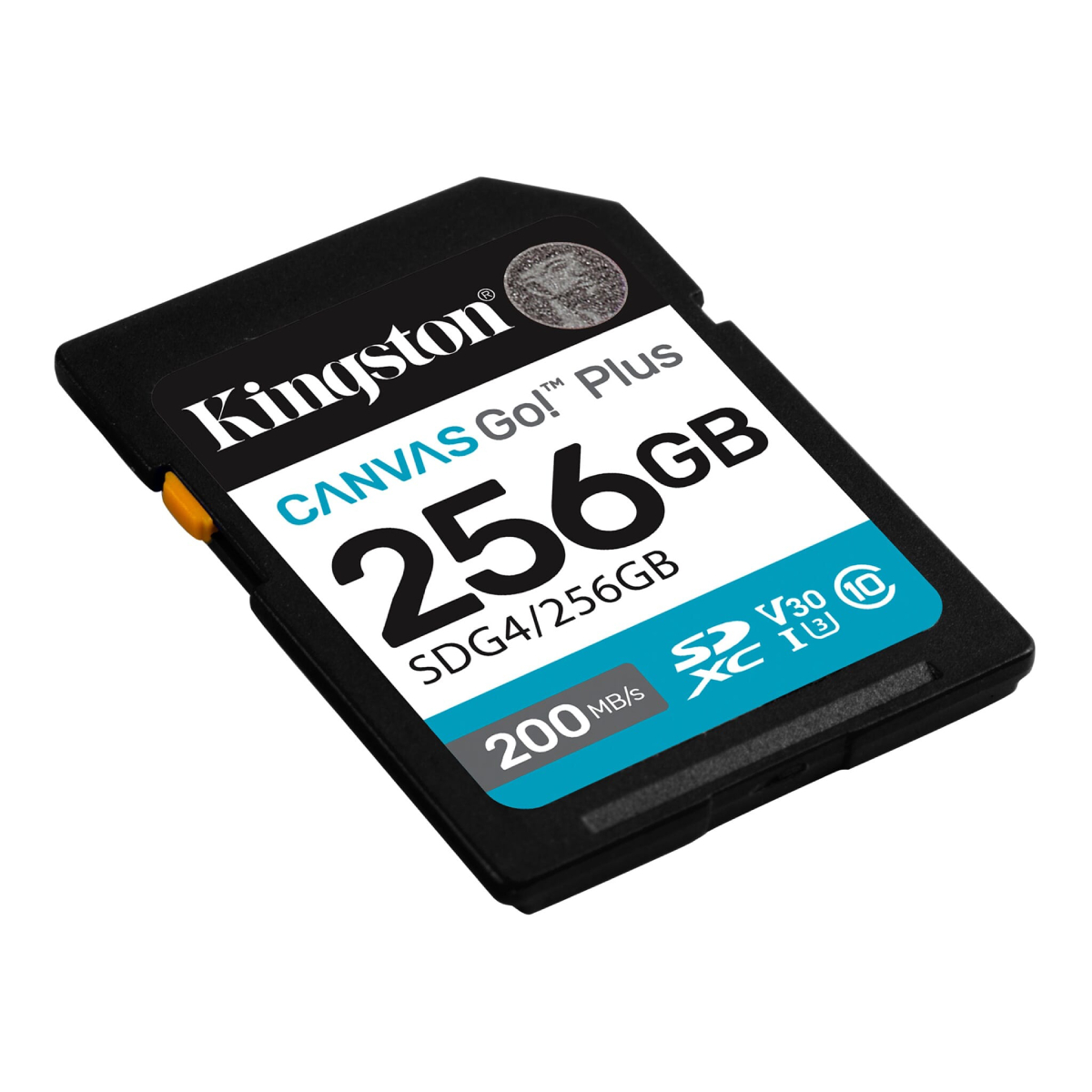 Card SD Kingston Canvas Go! Plus 256GB SDG4/256GB în Moldova - xstore.md photo 0