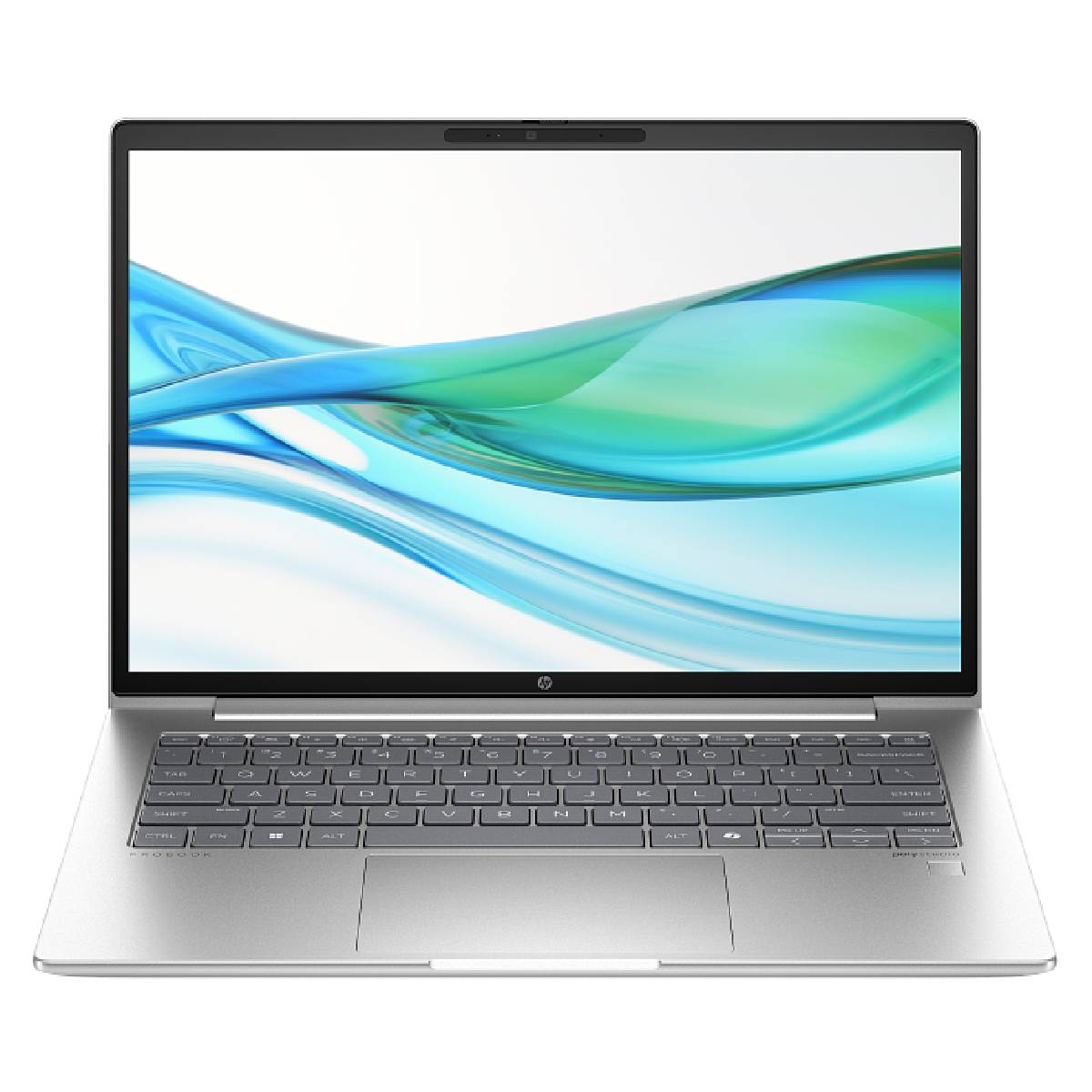 Laptop HP ProBook 440 G11 (AD1S5ET) - xstore.md photo