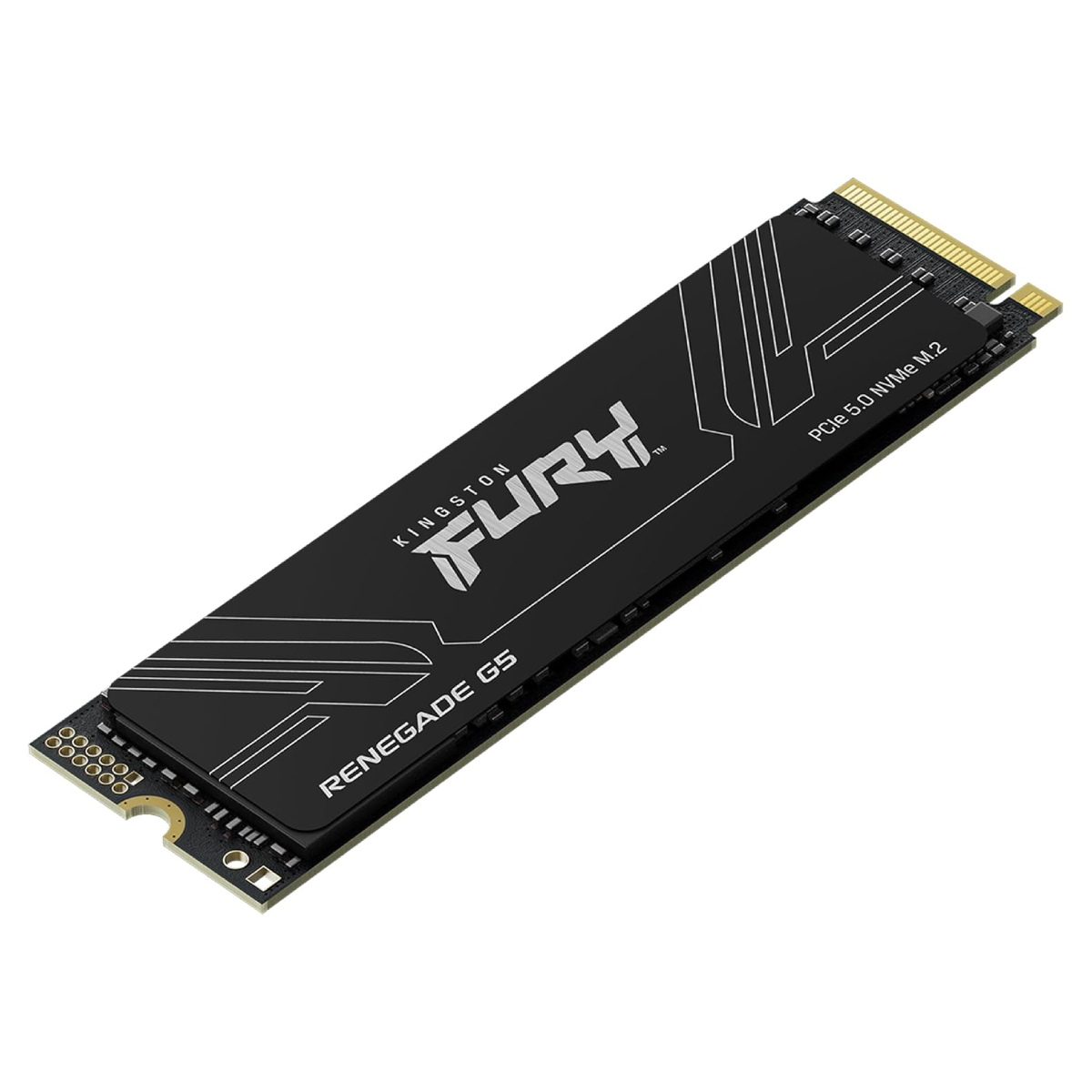 SSD Kingston FURY Renegade G5 SFYR2S/1T0 în Moldova - xstore.md photo 0