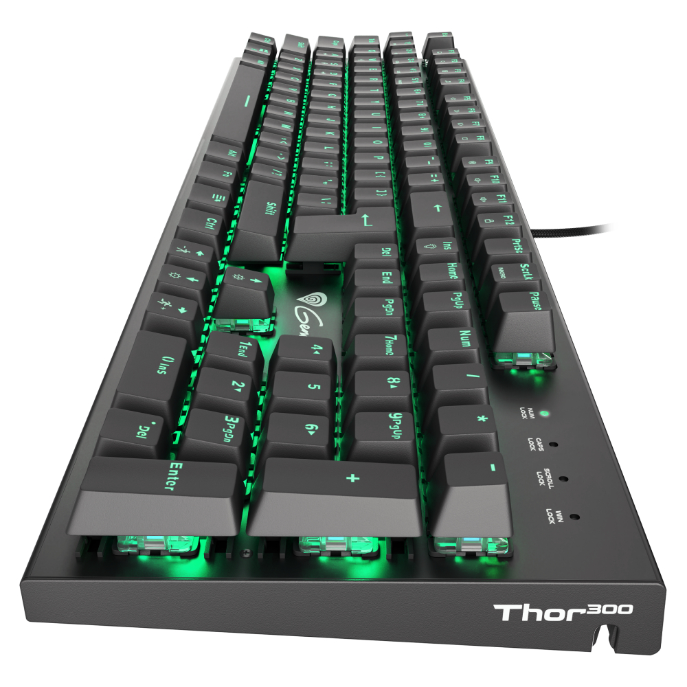 Tastatură Genesis Thor 300, Black în Moldova - xstore.md photo 2