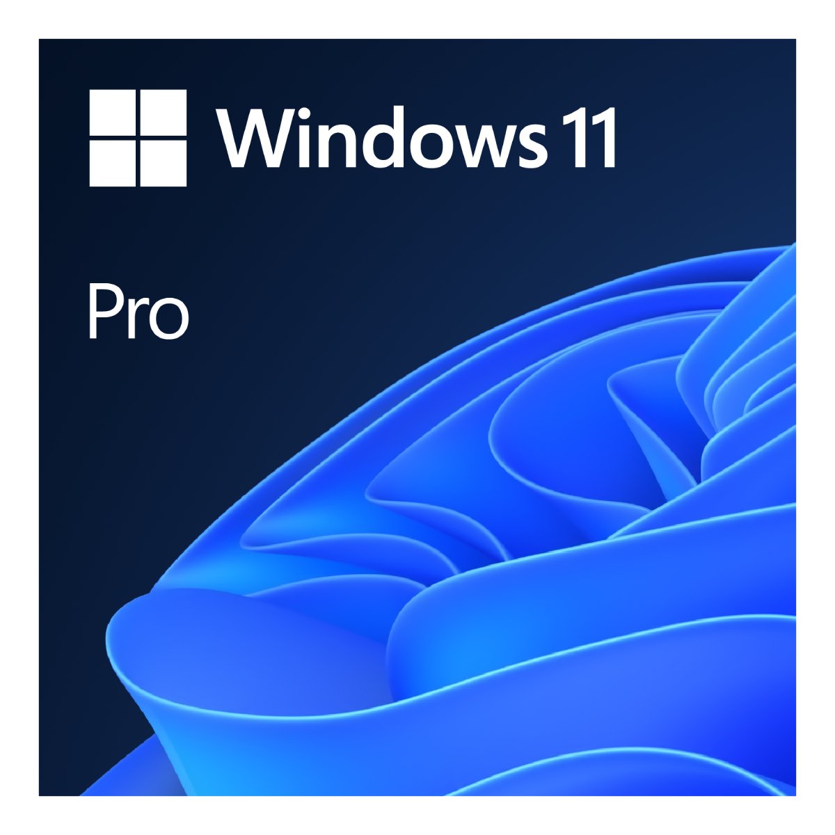 Windows 11 PRO OEM EN - xstore.md photo 0