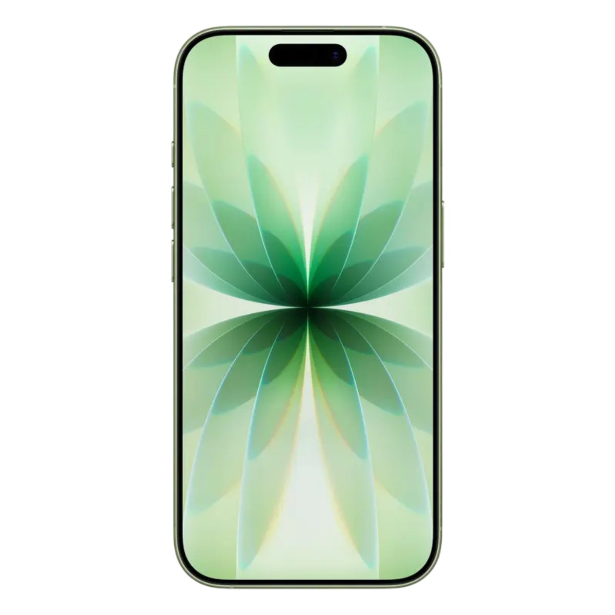 Apple iPhone 17 512GB, Sage în Moldova - xstore.md photo 1