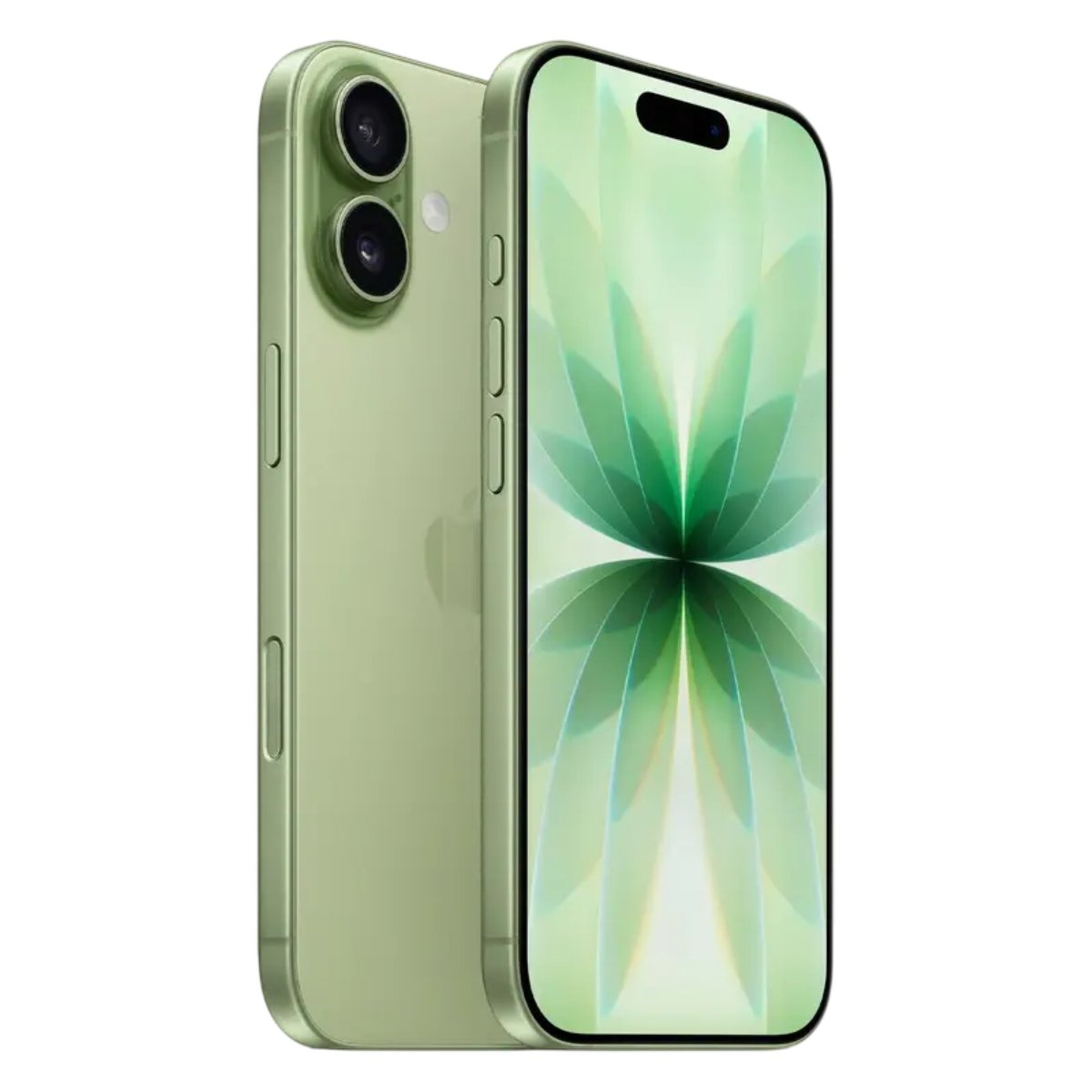 Apple iPhone 17 512GB, Sage în Moldova - xstore.md photo 0