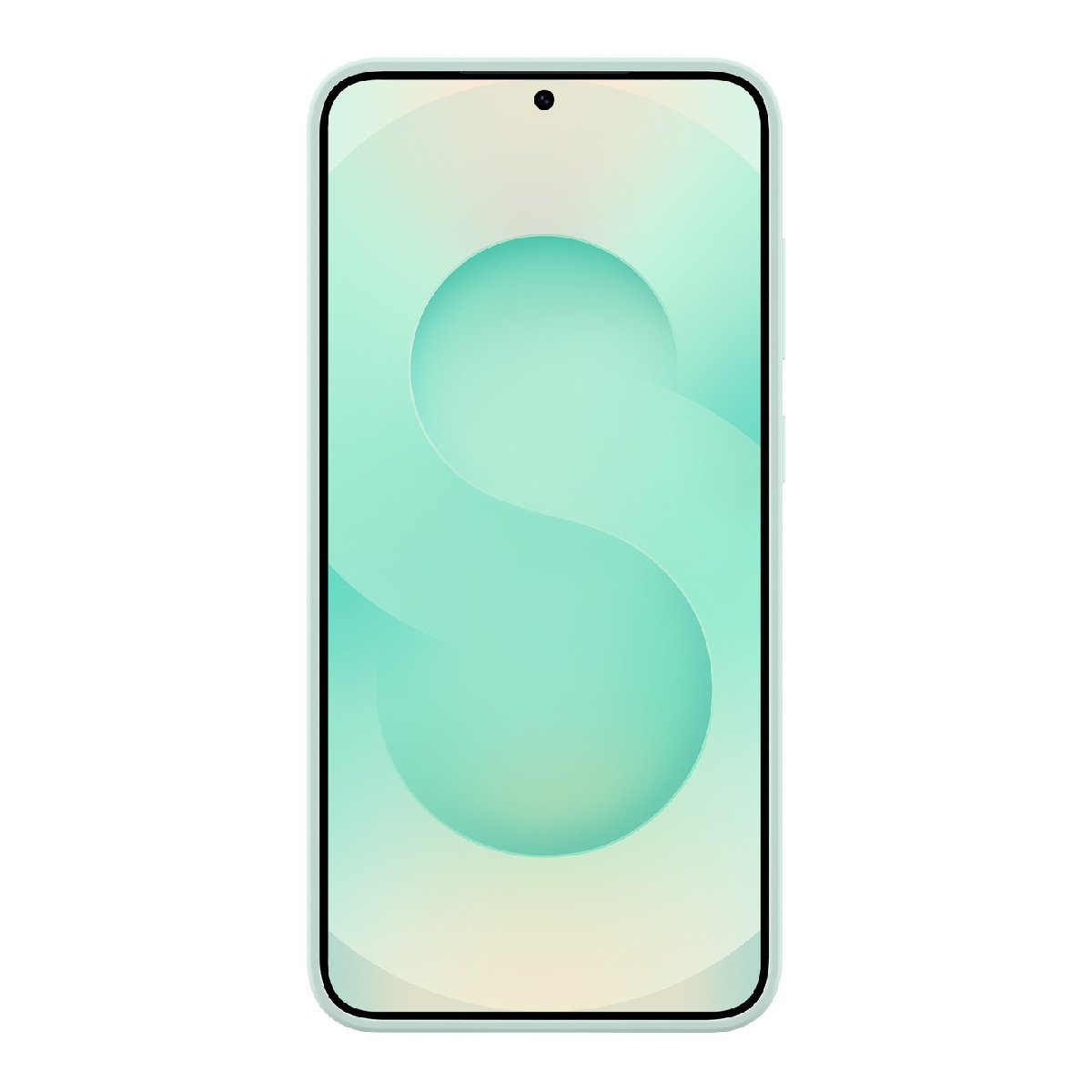 Husă Samsung Silicone Galaxy S25+, Green - xstore.md photo 1