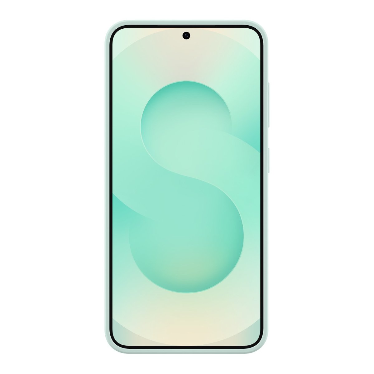 Husă Samsung Silicone Galaxy S25, Green - xstore.md photo 1