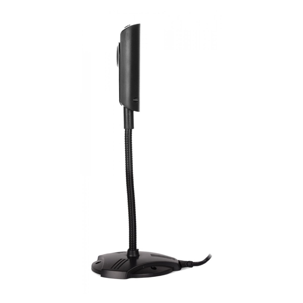 Cameră Web A4Tech PK-810G în Moldova - xstore.md photo 0