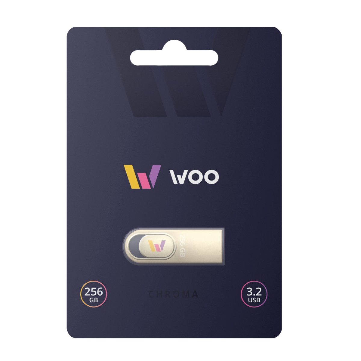 Флешка WOO Chroma 256GB, Silver в Молдове - xstore.md photo