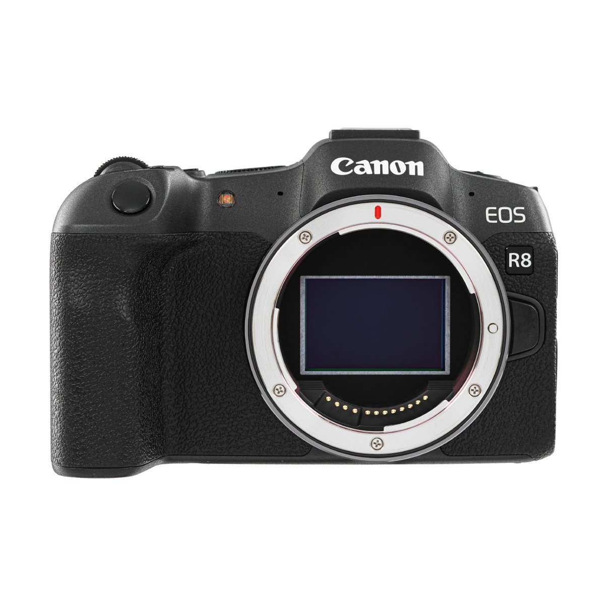 Camera foto Canon EOS R8 & RF 24-50mm în Moldova - xstore.md photo 6