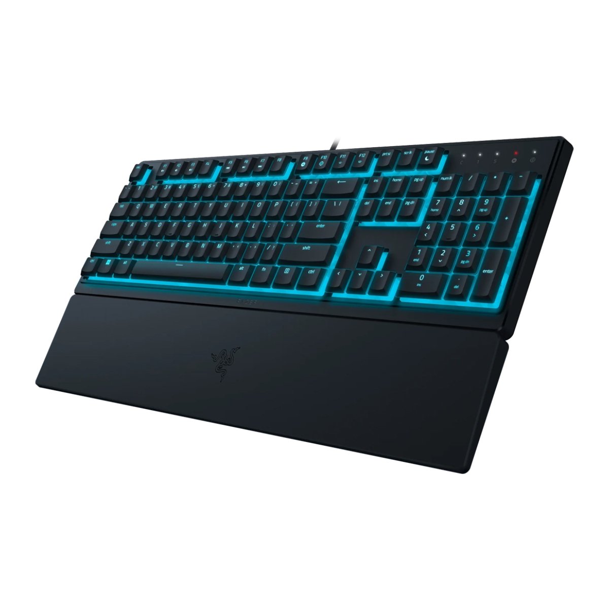 Tastatură Razer Ornata V3 X, Black în Moldova - xstore.md photo 1