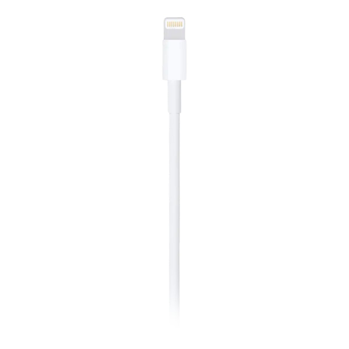 Cablu Apple A1480 Type-A to Lightning, 1m - xstore.md photo 0