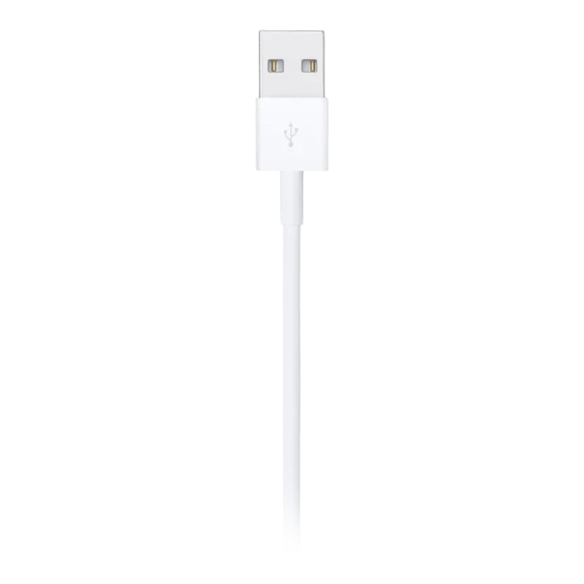 Cablu Apple A1480 Type-A to Lightning, 1m - xstore.md photo 1