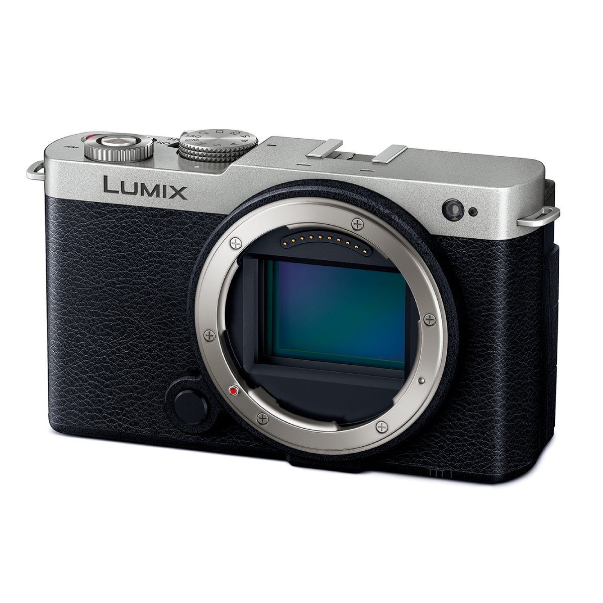 Фотоаппарат Panasonic Lumix DC-S9E-SA в Молдове - xstore.md photo 0