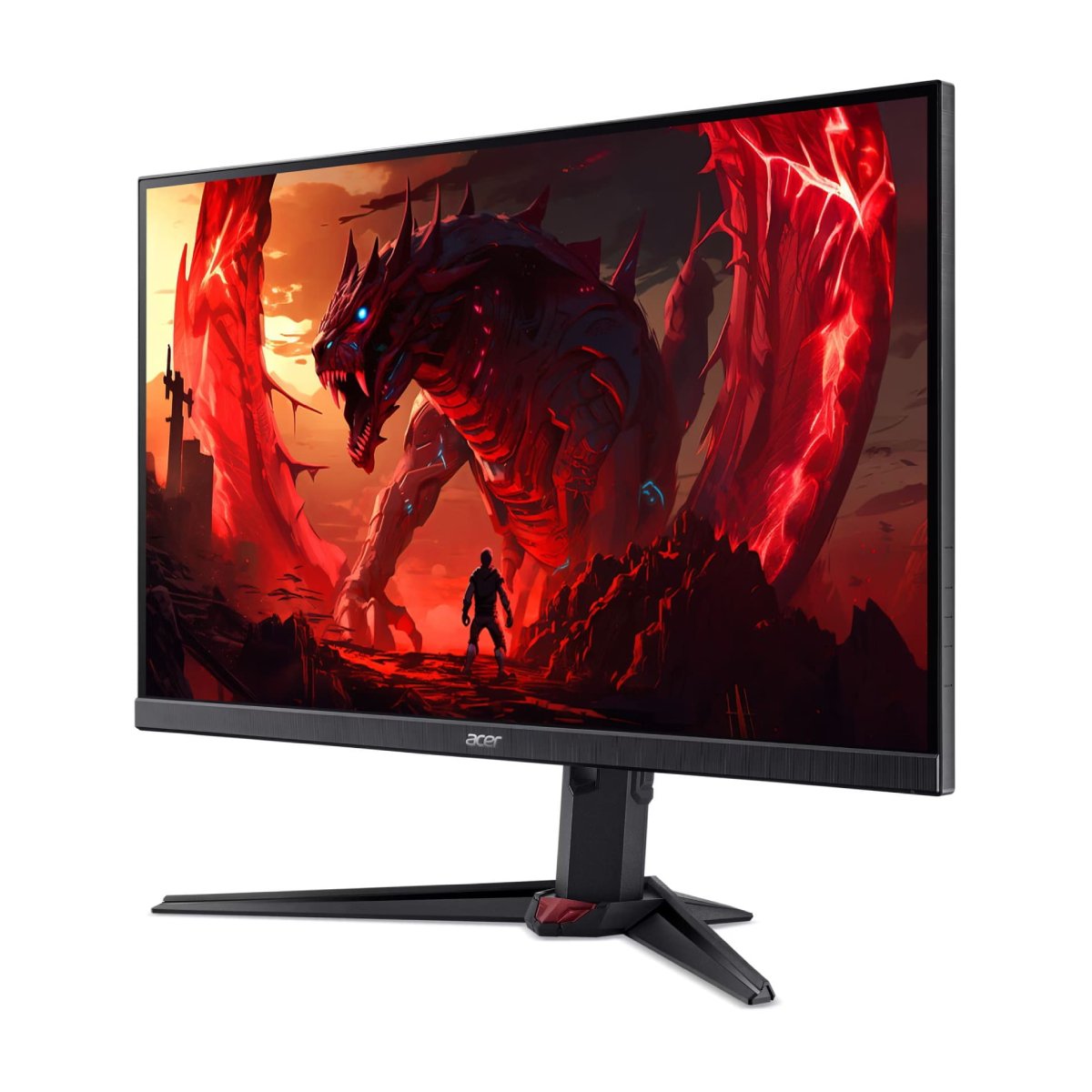Monitor Acer Nitro XV240Y X1 în Moldova - xstore.md photo 1