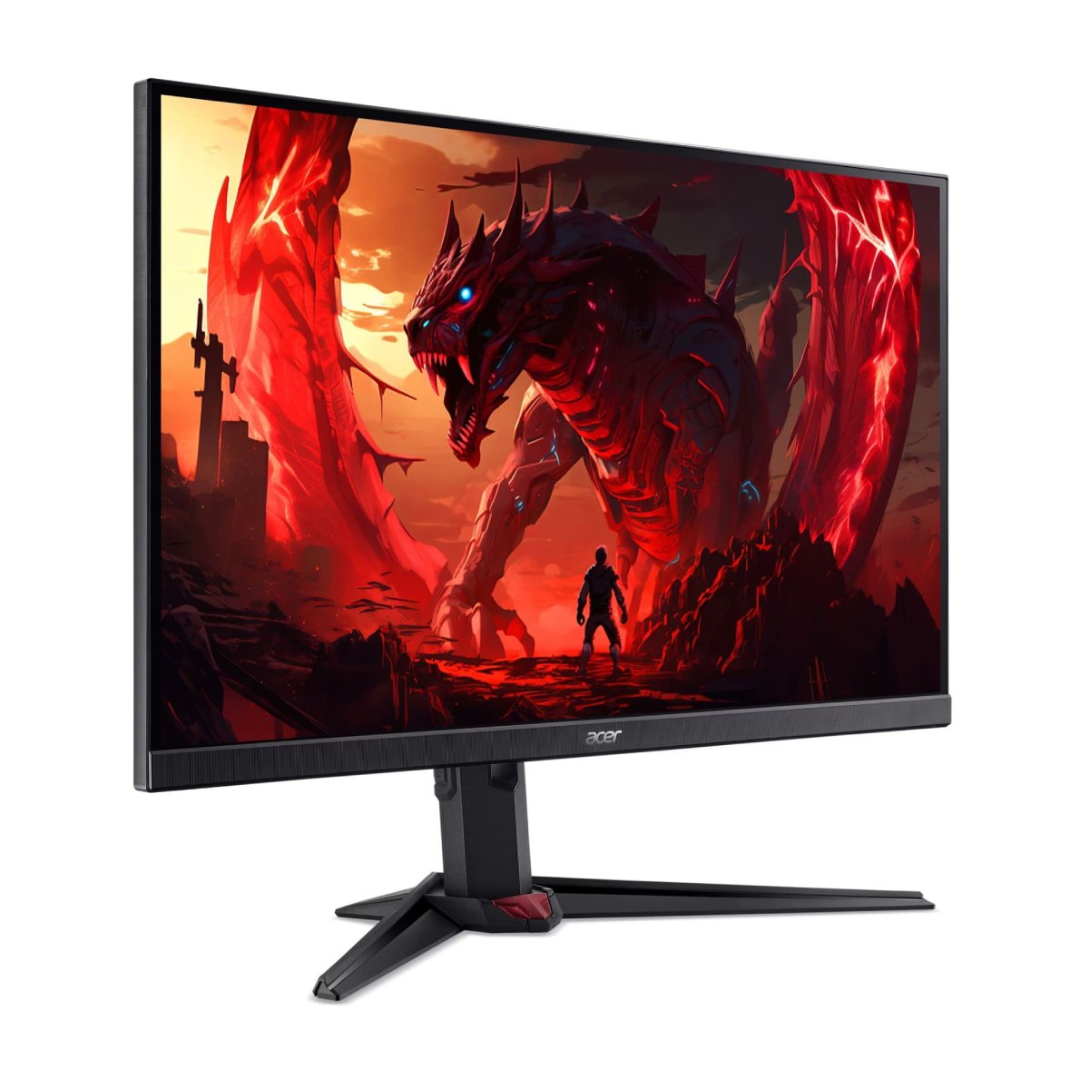 Monitor Acer Nitro XV240Y X1 în Moldova - xstore.md photo 0