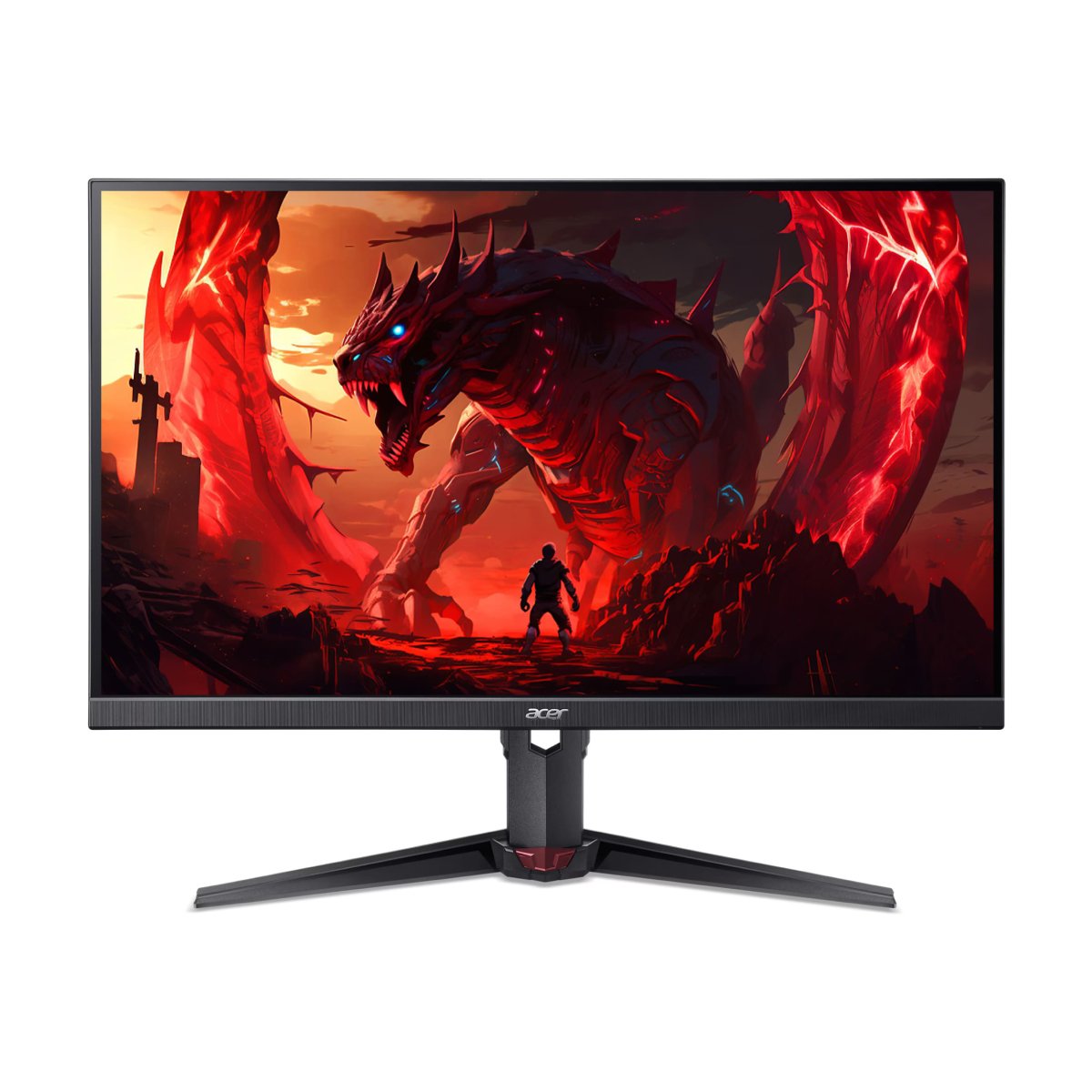 Monitor Acer Nitro XV240Y X1 în Moldova - xstore.md photo