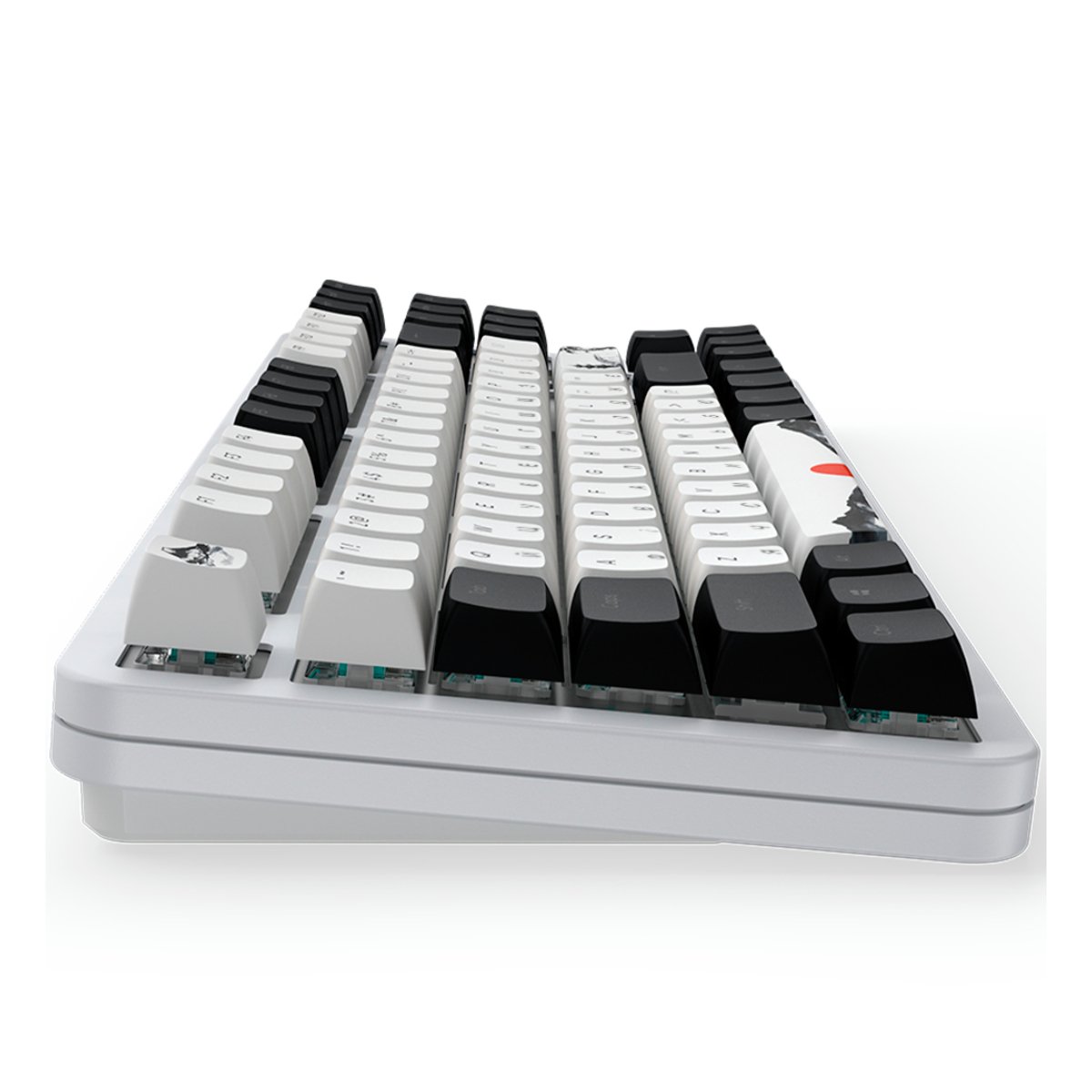 Tastatură Dark Project 87 Fuji II, White în Moldova - xstore.md photo 4