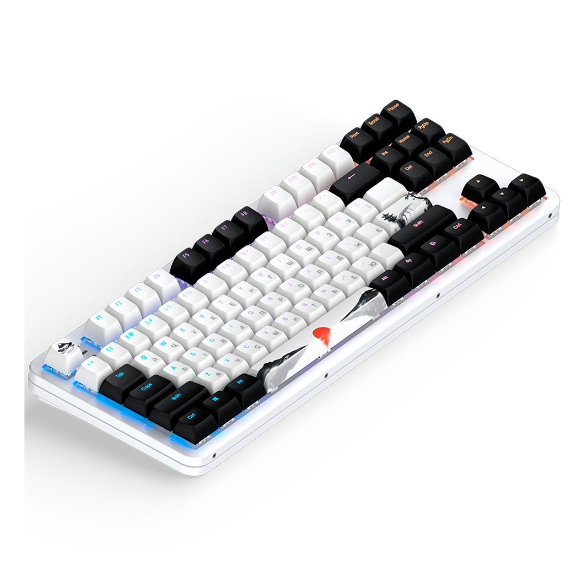 Tastatură Dark Project 87 Fuji II, White în Moldova - xstore.md photo 1